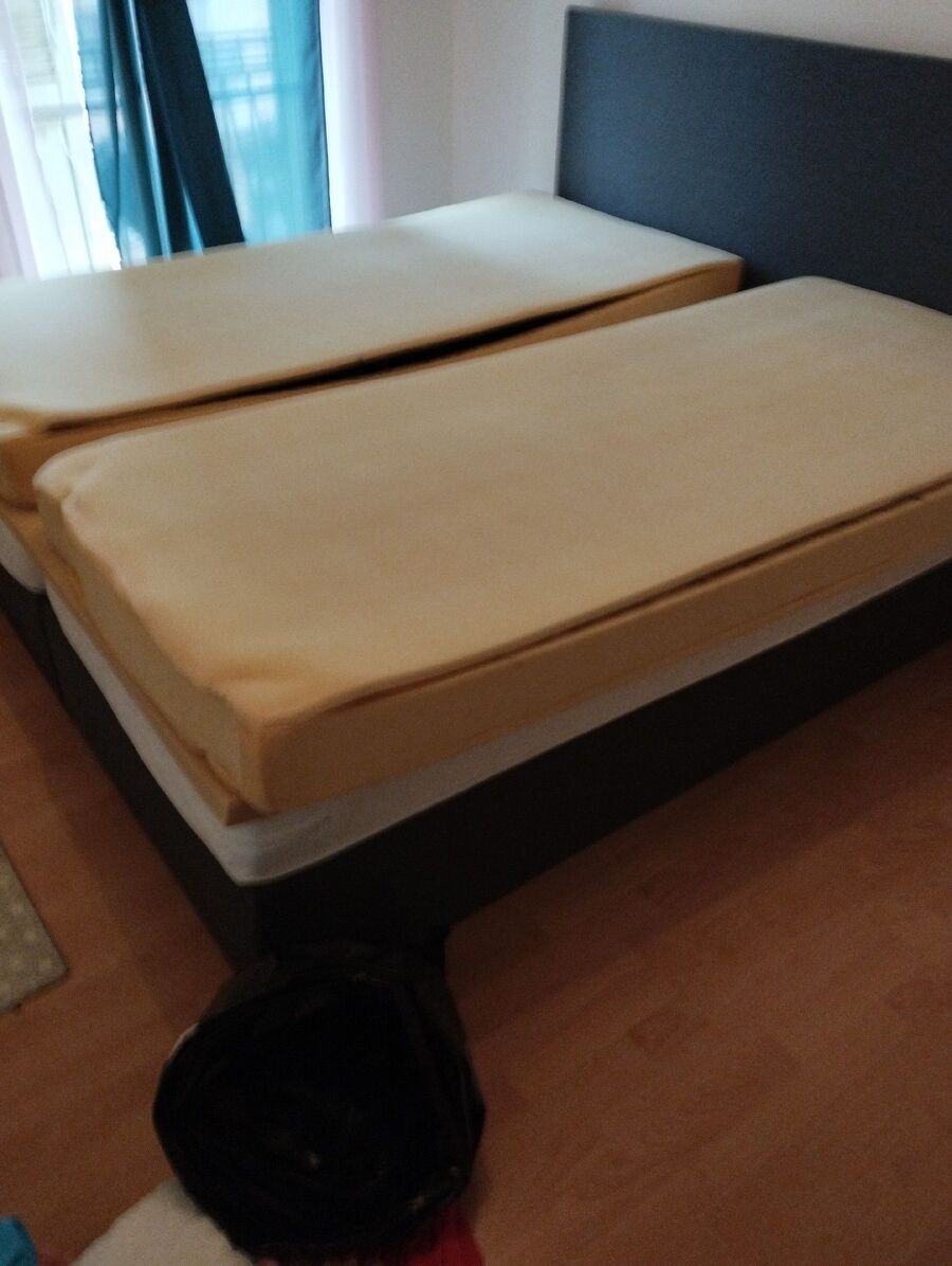 Bettwanzen_bekaempfen