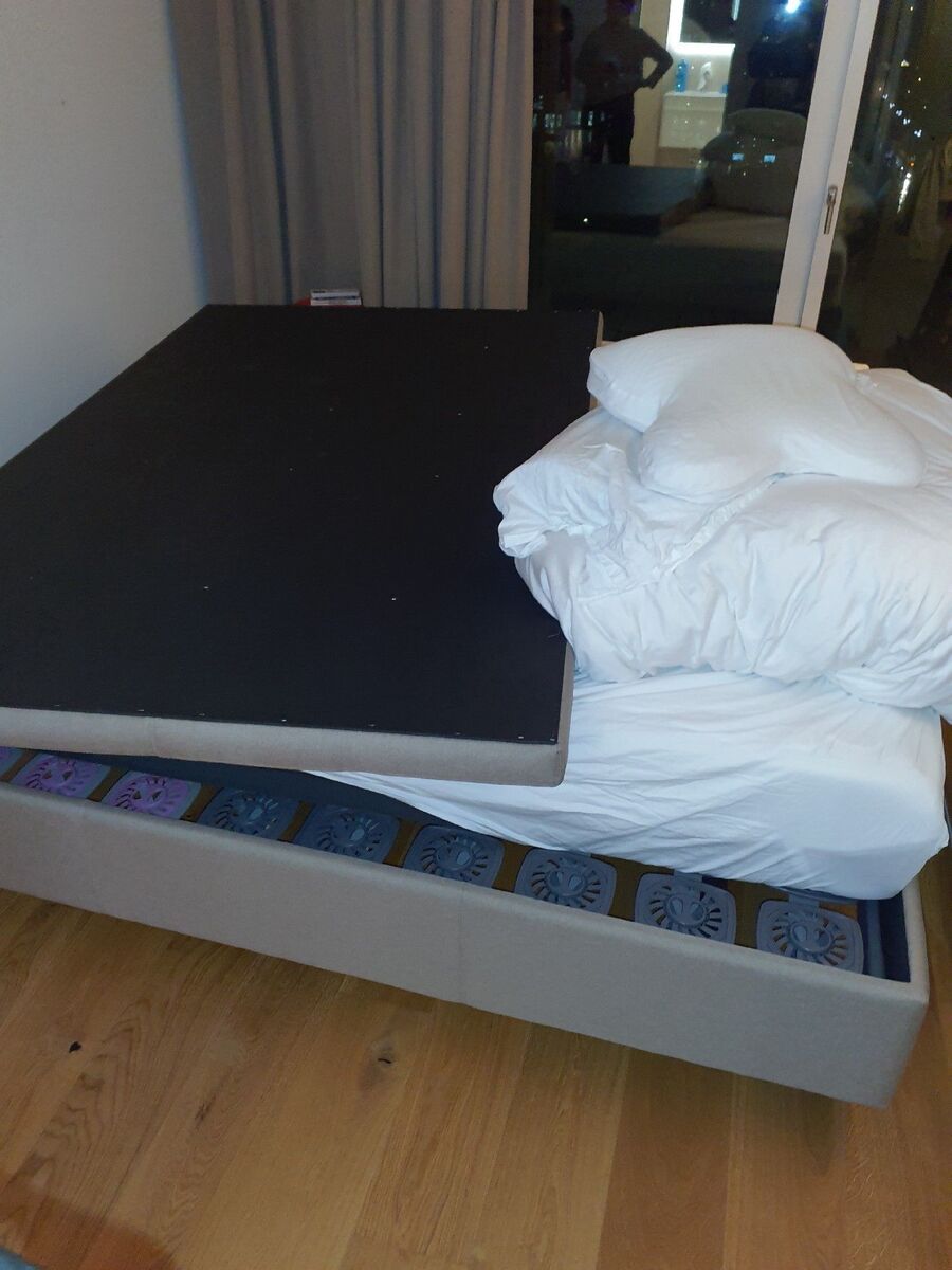 Bettwanzen_bekaempfen