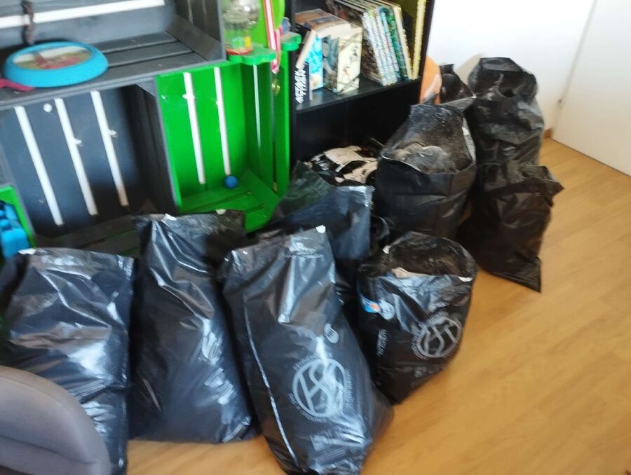 Bettwanzen_bekaempfen