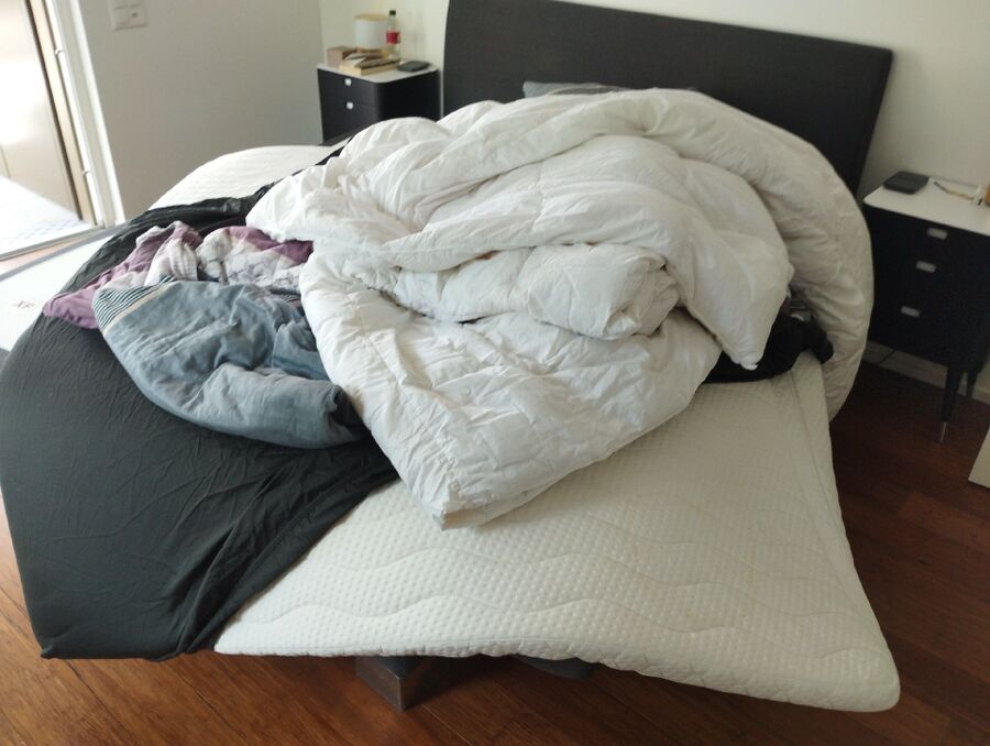 Bettwanzen_bekaempfen