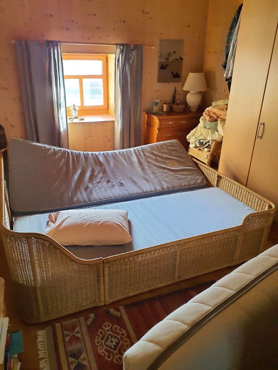 Bettwanzen_bekaempfen