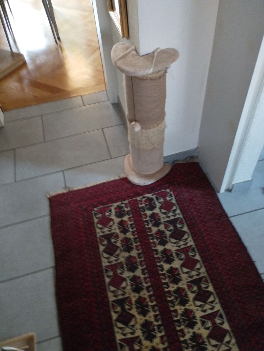 Bettwanzen_bekaempfen
