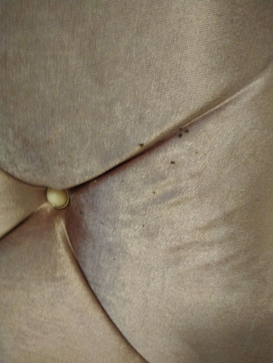 Bettwanzen_bekaempfen