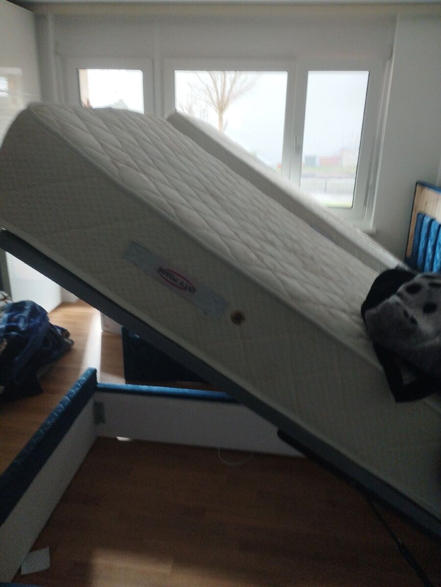 Bettwanzen_bekaempfen