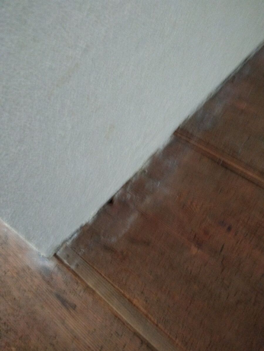 Bettwanzen_bekaempfen