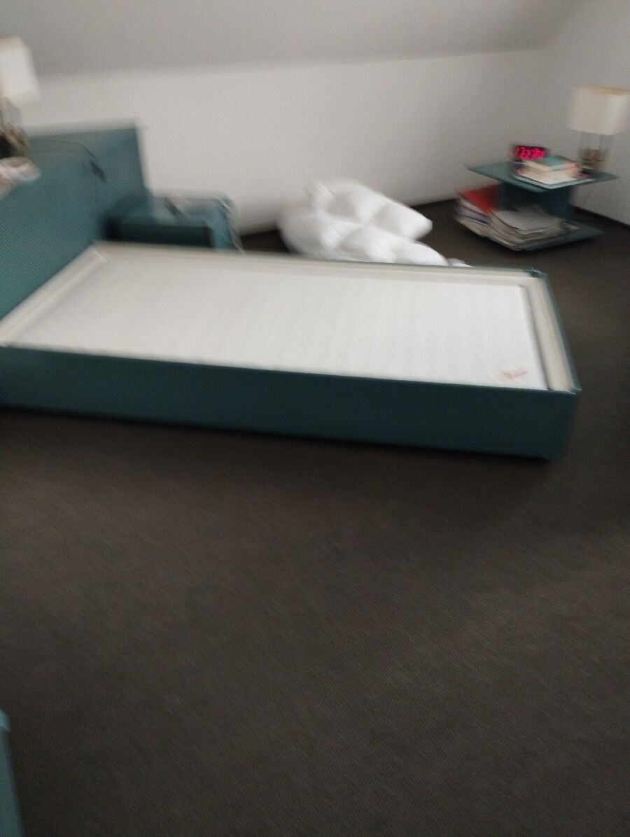 Bettwanzen_bekaempfen