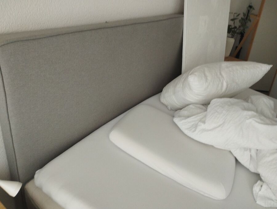 Bettwanzen_bekaempfen