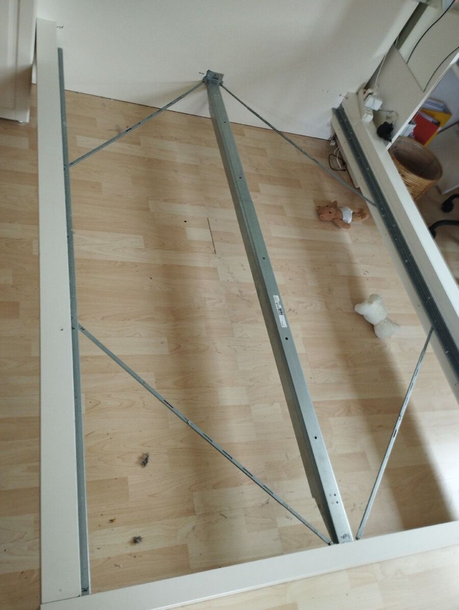 Bettwanzen_bekaempfen