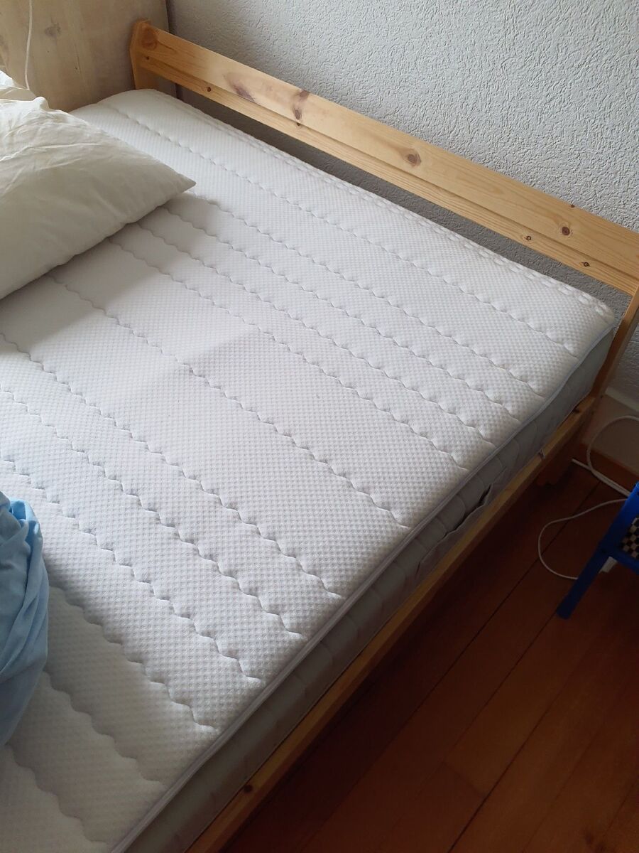 Bettwanzen_bekaempfen