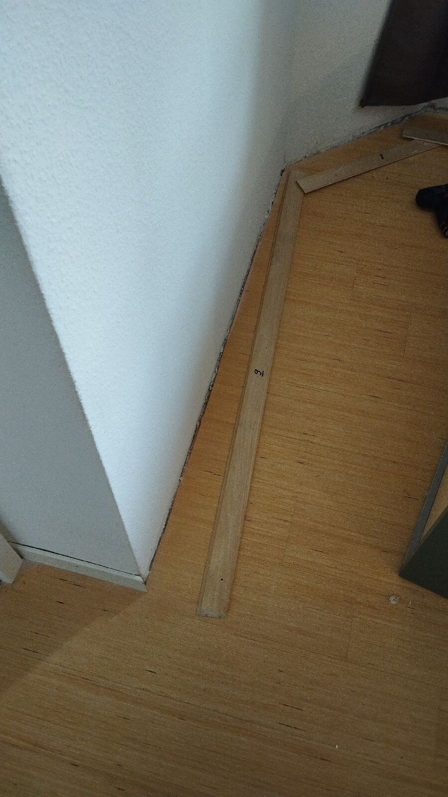 Bettwanzen_bekaempfen