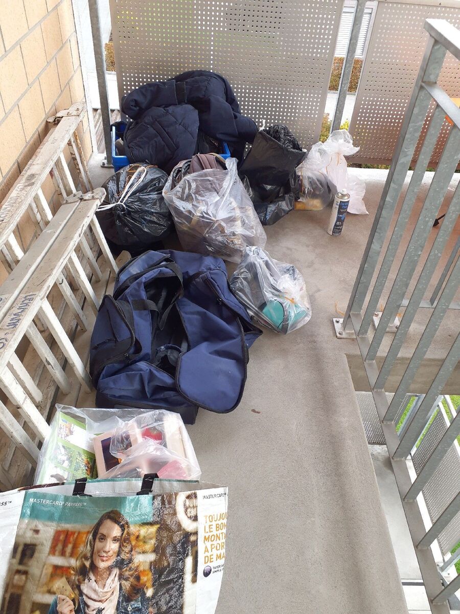 Bettwanzen_bekaempfen