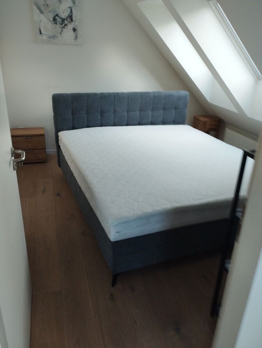 Bettwanzen_bekaempfen