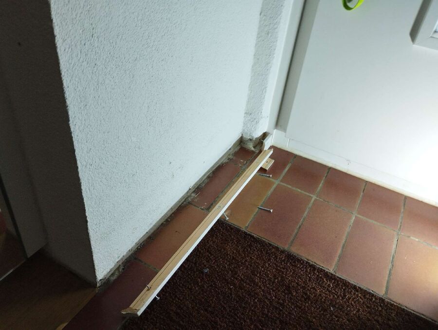 ameisen_vertreiben_bekaempfen_entfernen