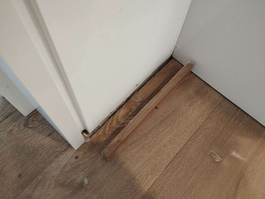 ameisen_vertreiben_bekaempfen_entfernen
