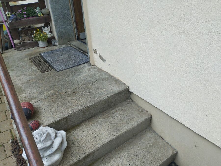 ameisen_vertreiben_bekaempfen_entfernen