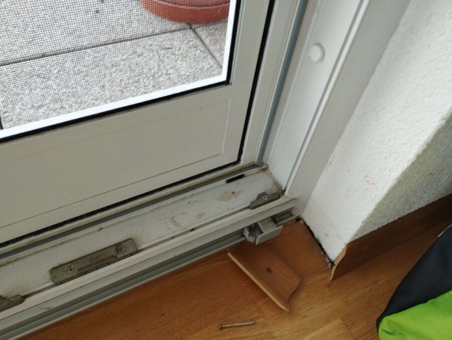 ameisen_vertreiben_bekaempfen_entfernen