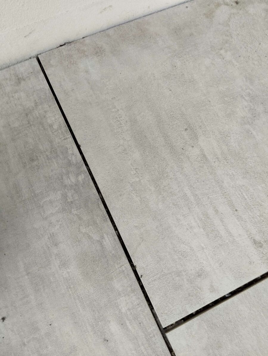 ameisen_vertreiben_bekaempfen_entfernen