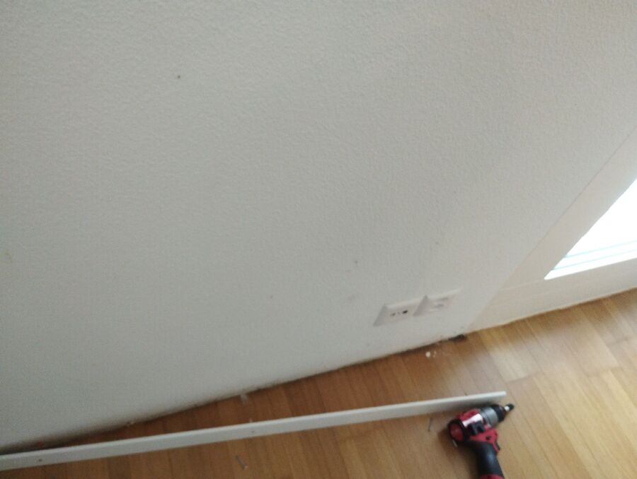 ameisen_vertreiben_bekaempfen_entfernen