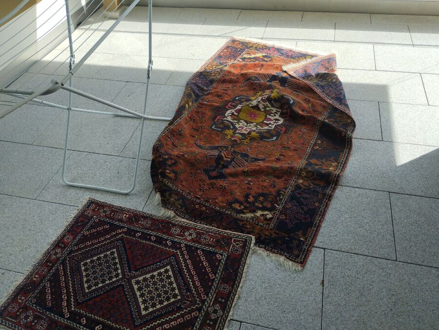 Bettwanzen_bekaempfen