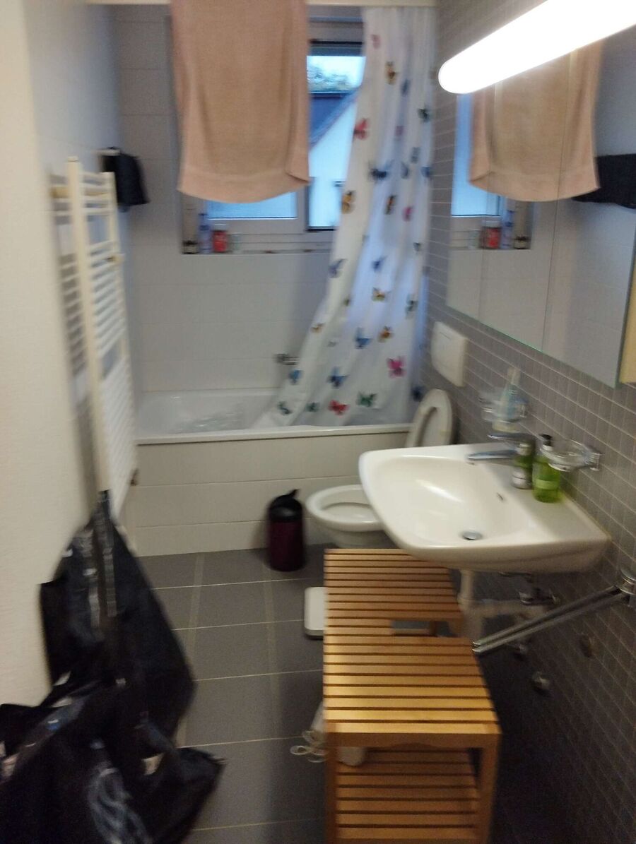 Bettwanzen_bekaempfen