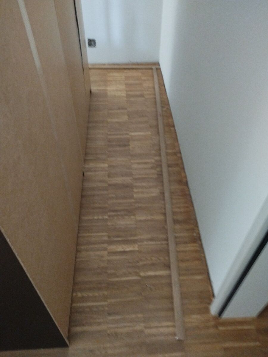 Bettwanzen_bekaempfen