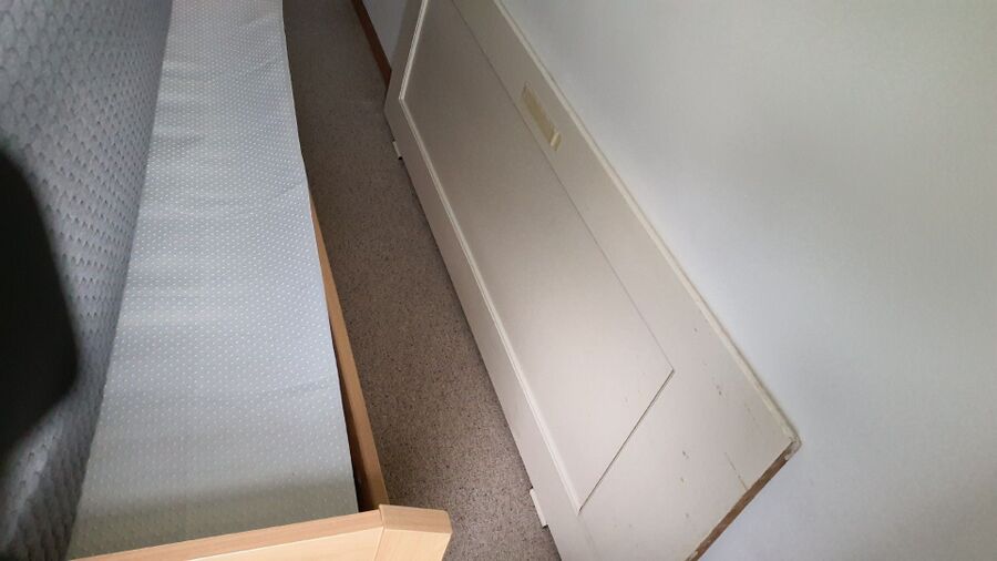 Bettwanzen_bekaempfen