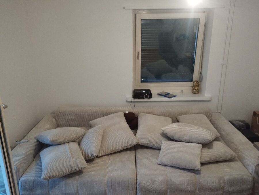 Bettwanzen_bekaempfen