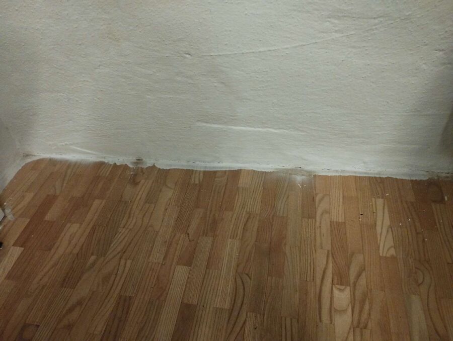 Bettwanzen_bekaempfen