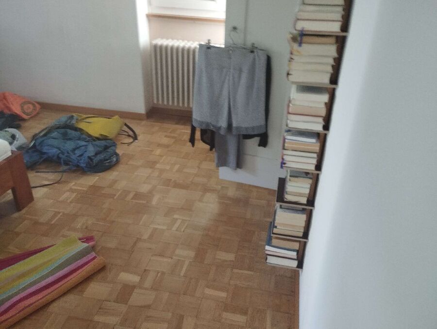 Bettwanzen_bekaempfen