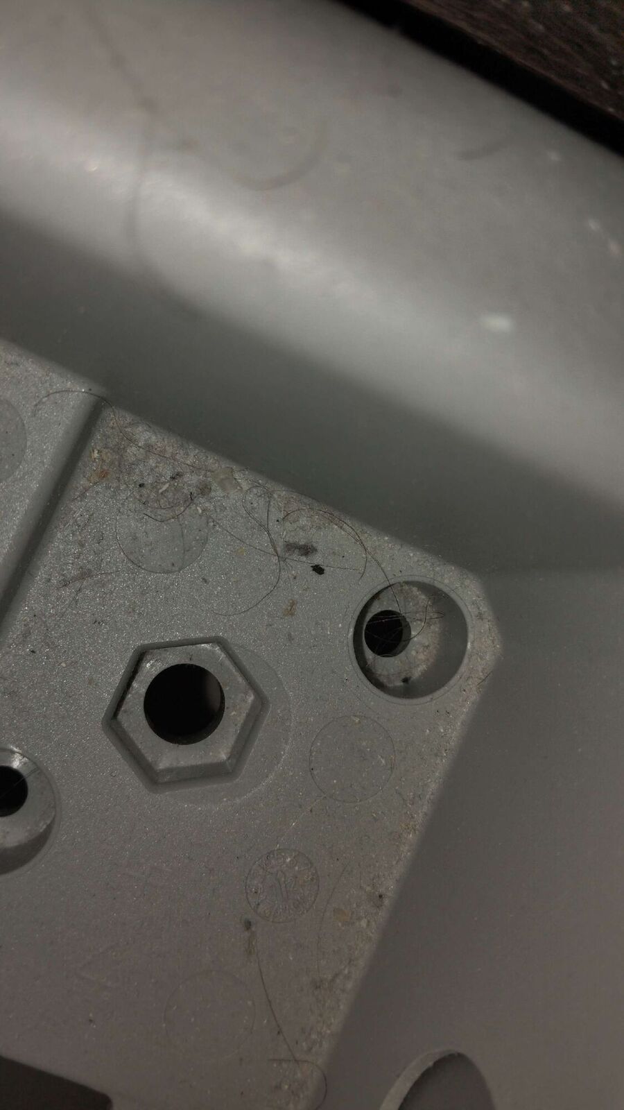 Bettwanzen_bekaempfen