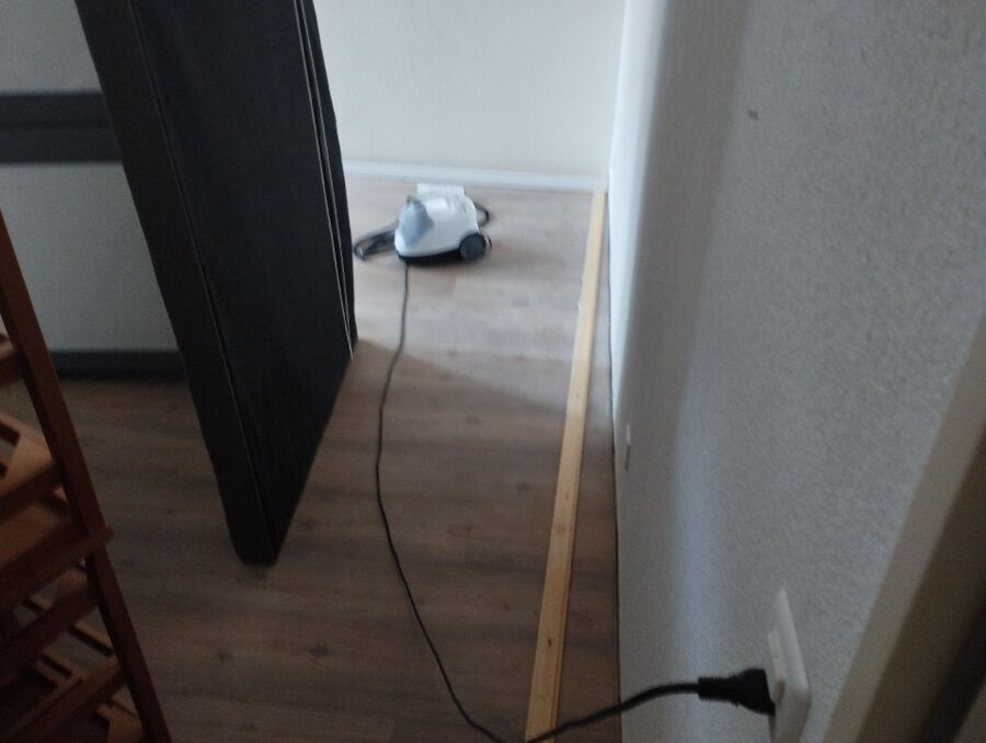 Bettwanzen_bekaempfen
