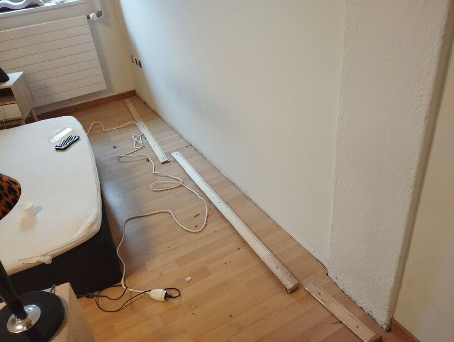 Bettwanzen_bekaempfen