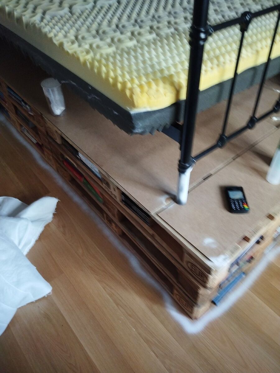 Bettwanzen_bekaempfen