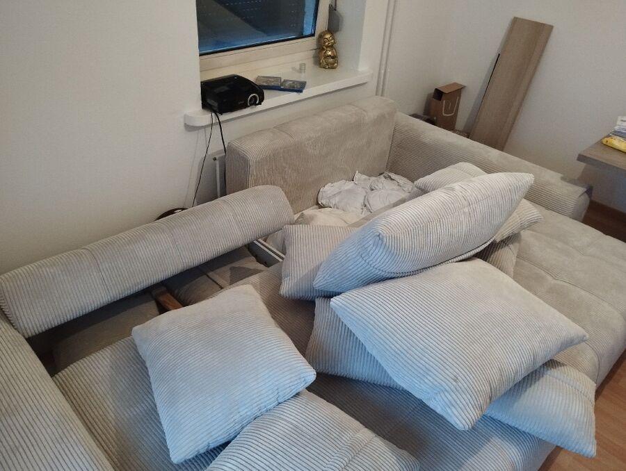 Bettwanzen_bekaempfen