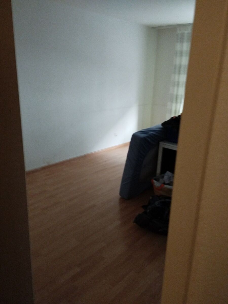 Bettwanzen_bekaempfen
