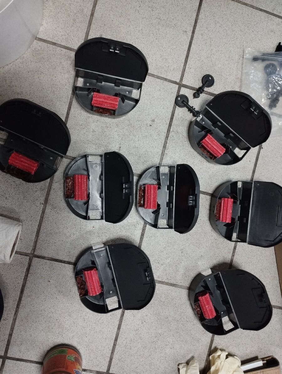 ratten_bekaempfung_ratten_vertreiben