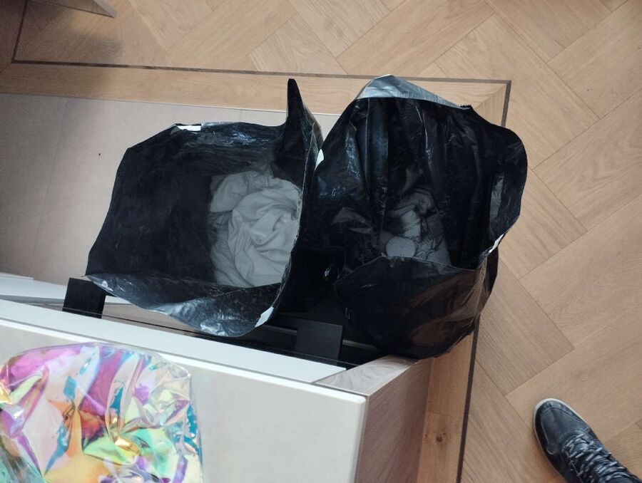 Bettwanzen_bekaempfen