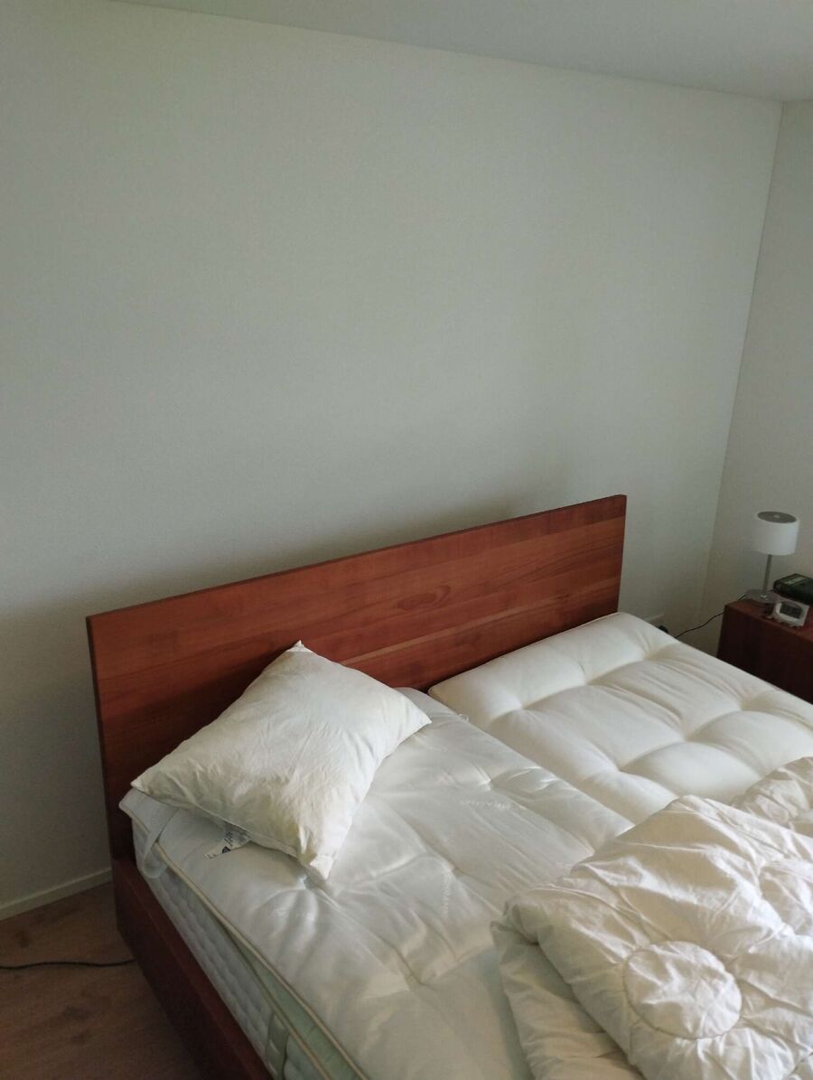 Bettwanzen_bekaempfen