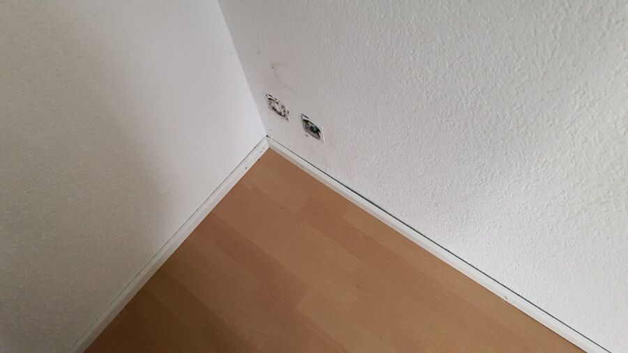 Bettwanzen_bekaempfen