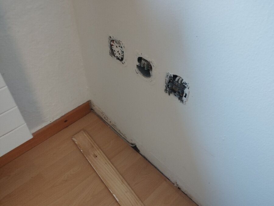 Bettwanzen_bekaempfen