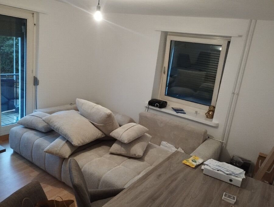 Bettwanzen_bekaempfen