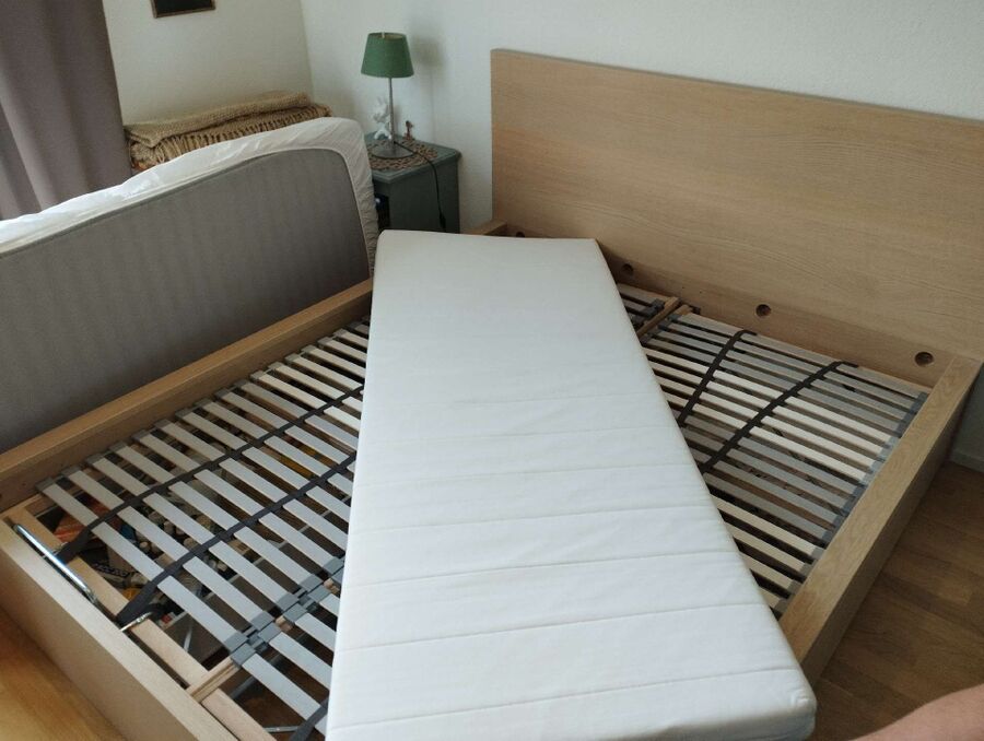 Bettwanzen_bekaempfen