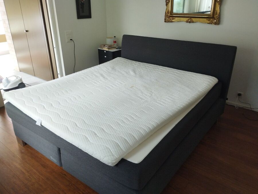 Bettwanzen_bekaempfen