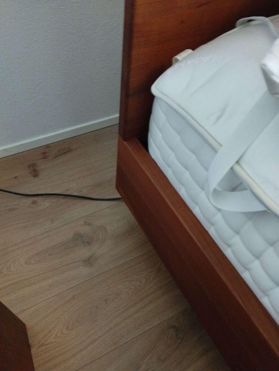 Bettwanzen_bekaempfen