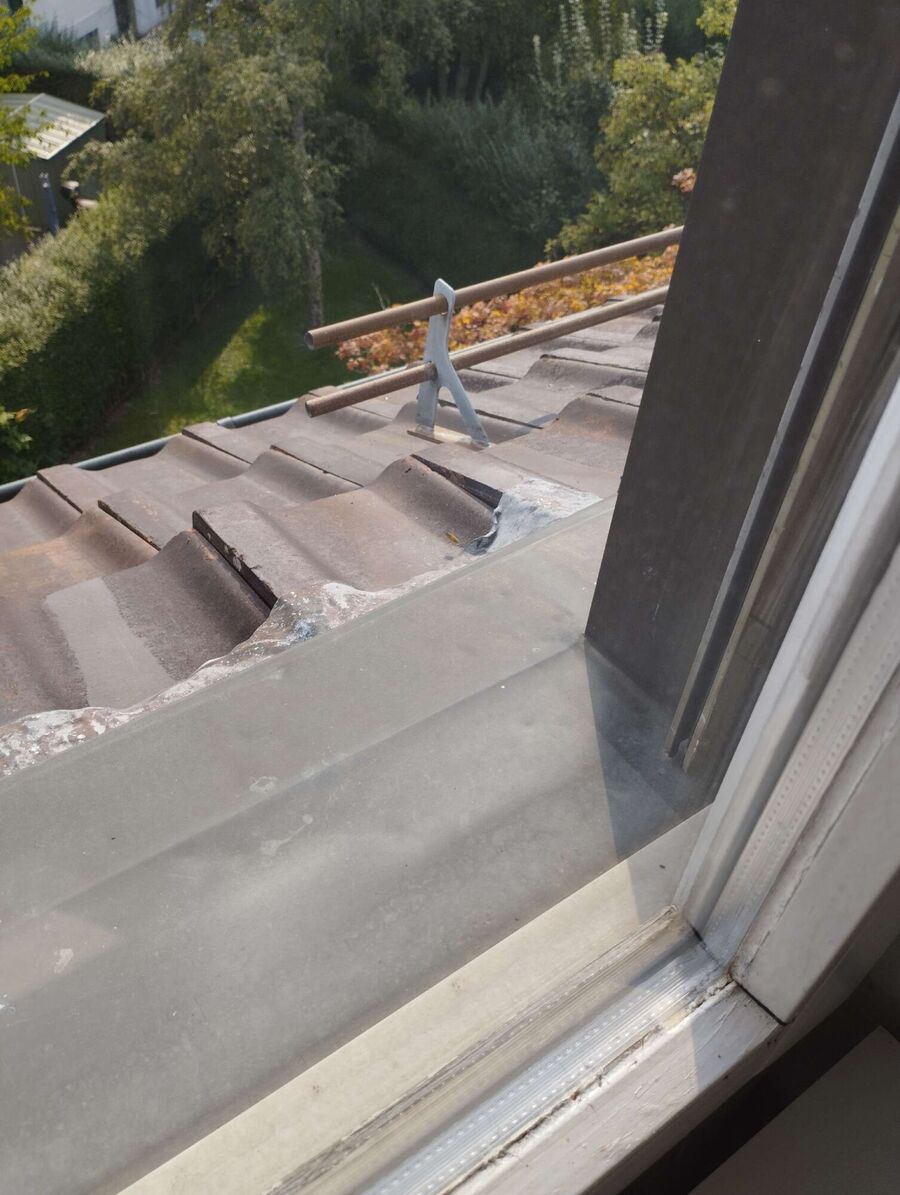 wespennest_entfernen