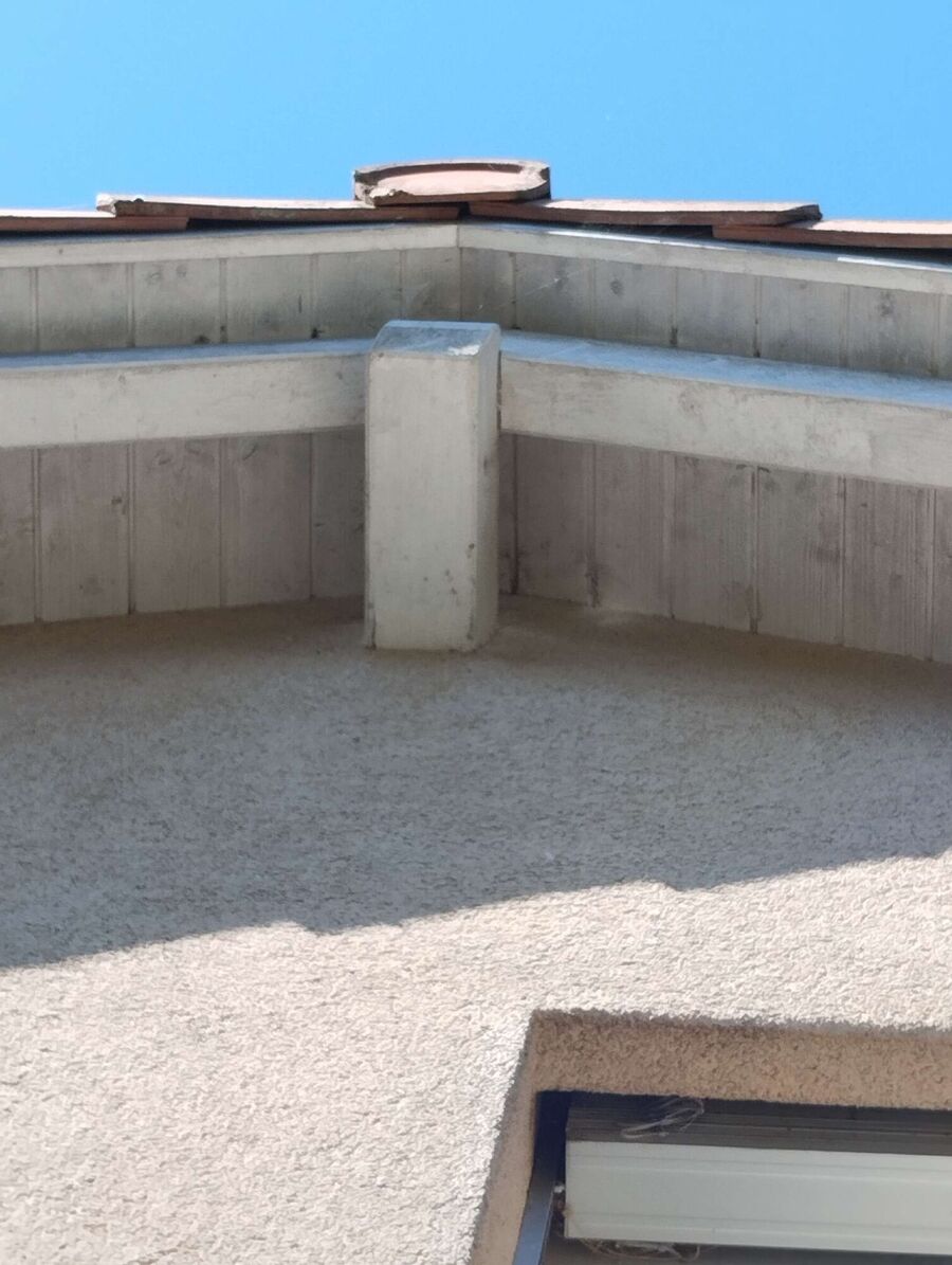 wespennest_entfernen