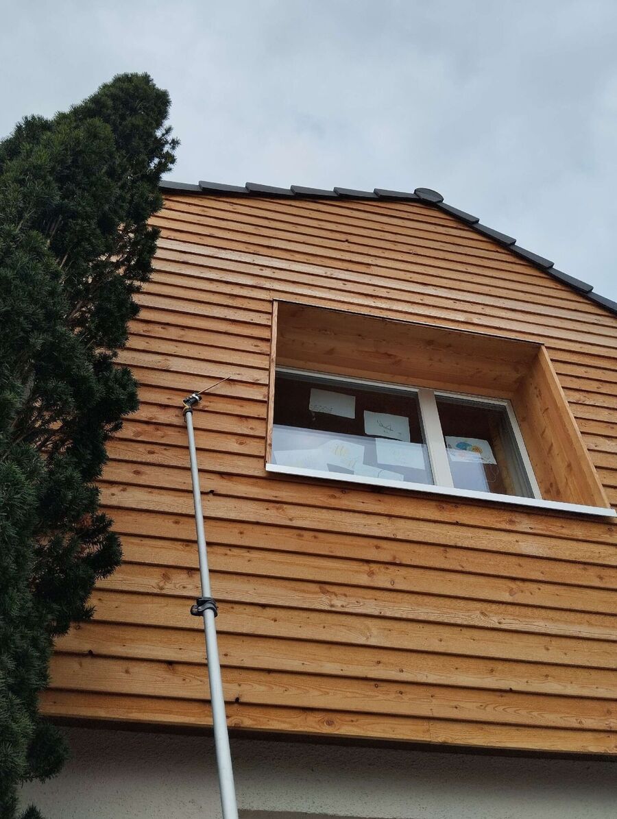 wespennest_entfernen