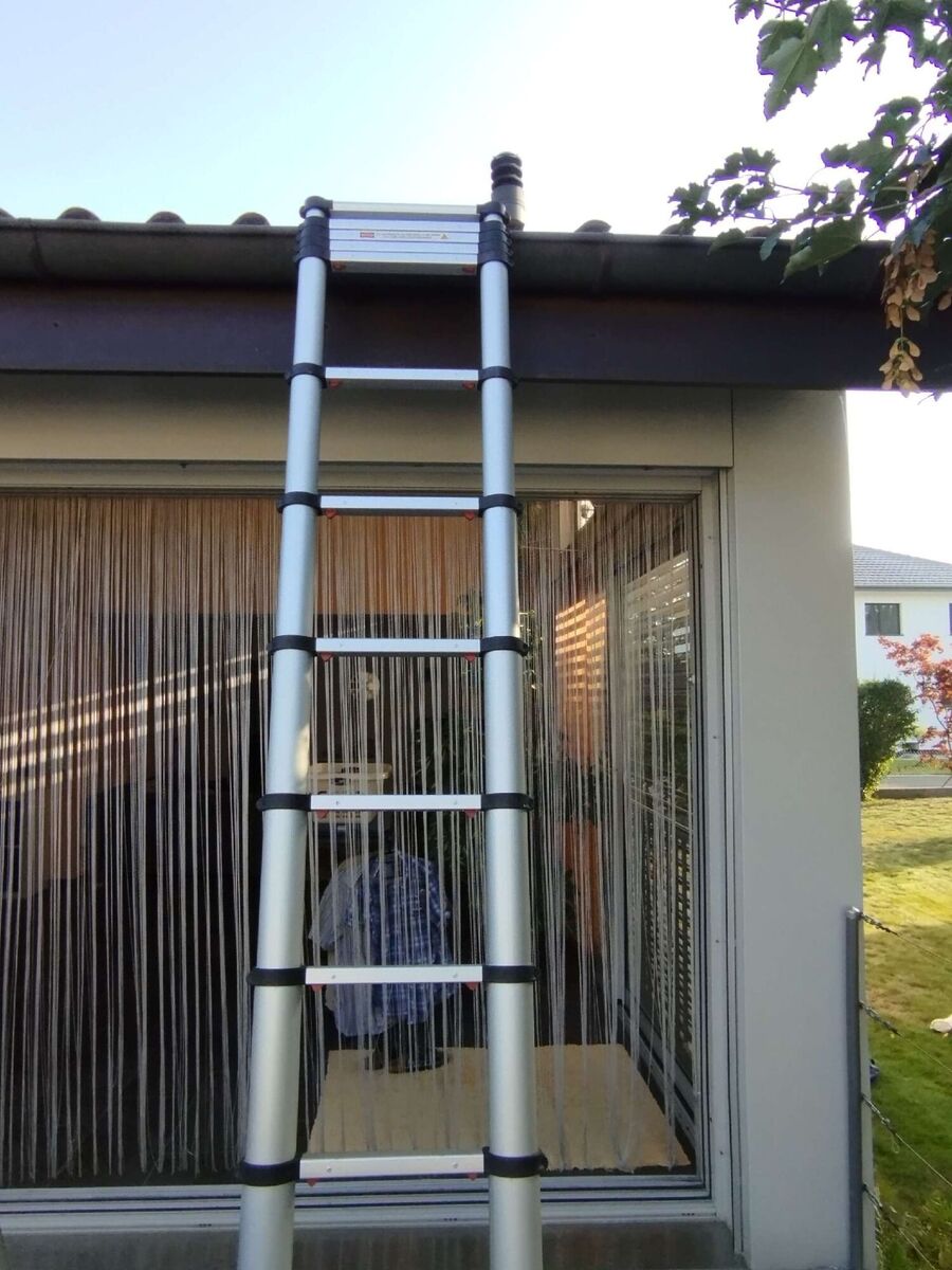 wespennest_entfernen