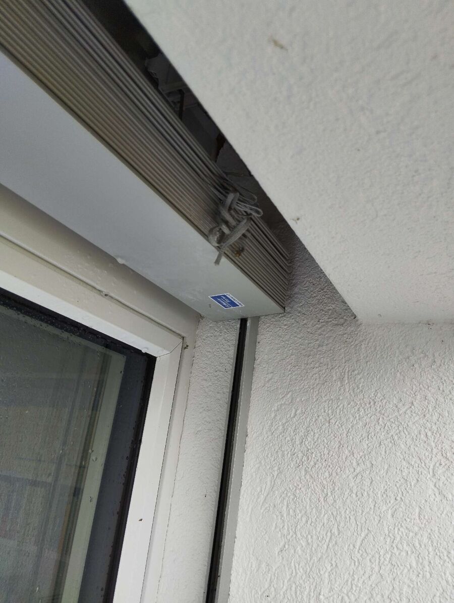 wespennest_entfernen