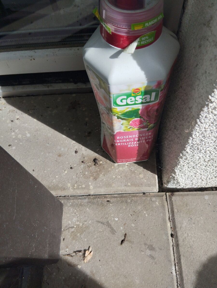 ratten_bekaempfung_ratten_vertreiben